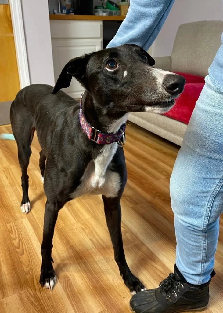 Mercedes thumbnail 2