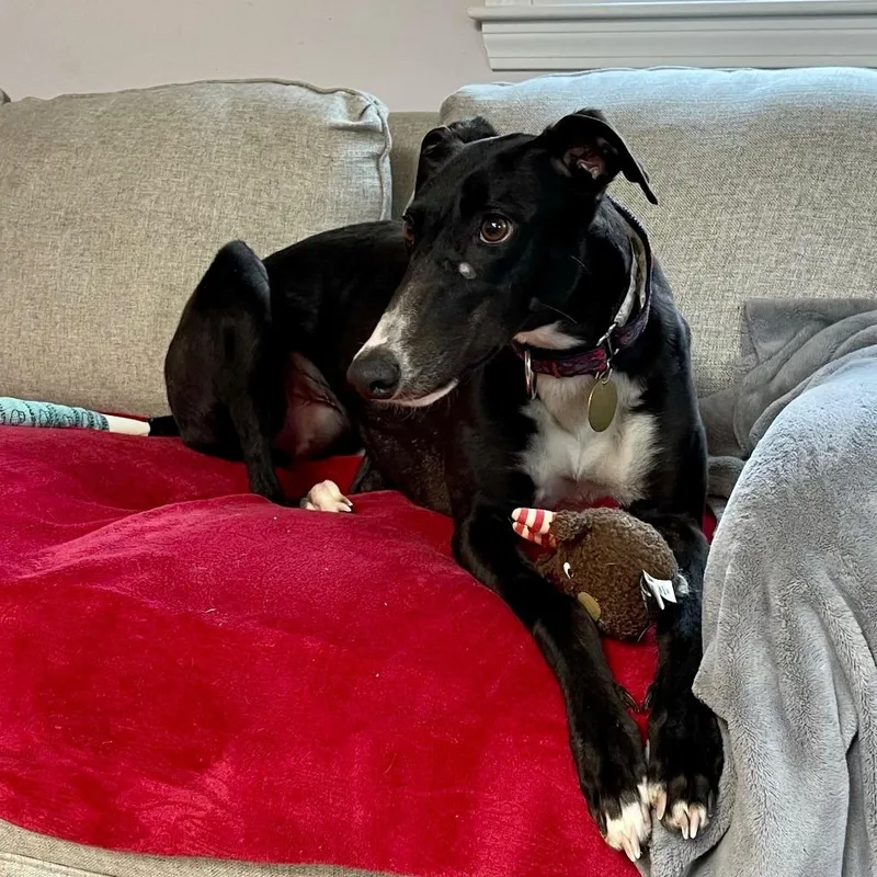 Mercedes thumbnail 3