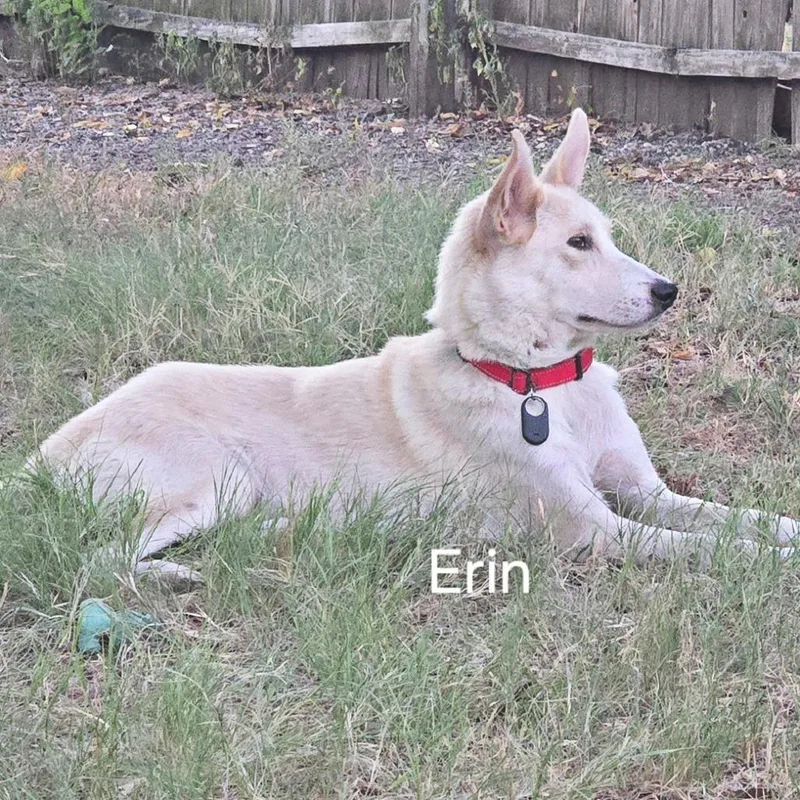 Erin thumbnail 2