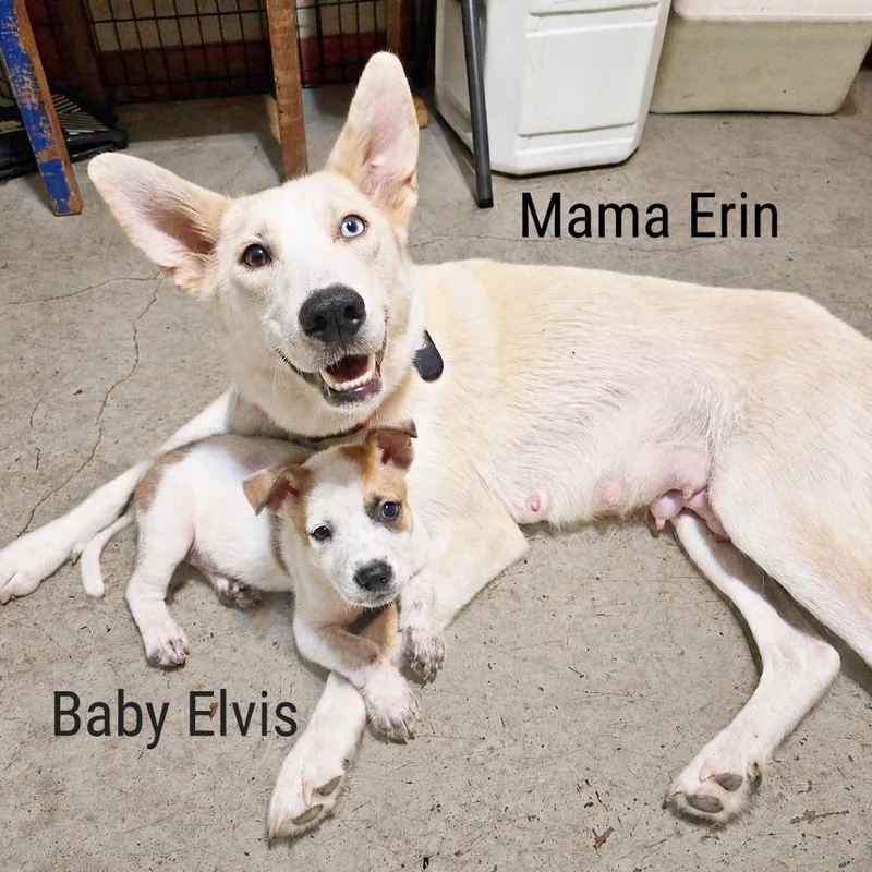 Erin thumbnail 3