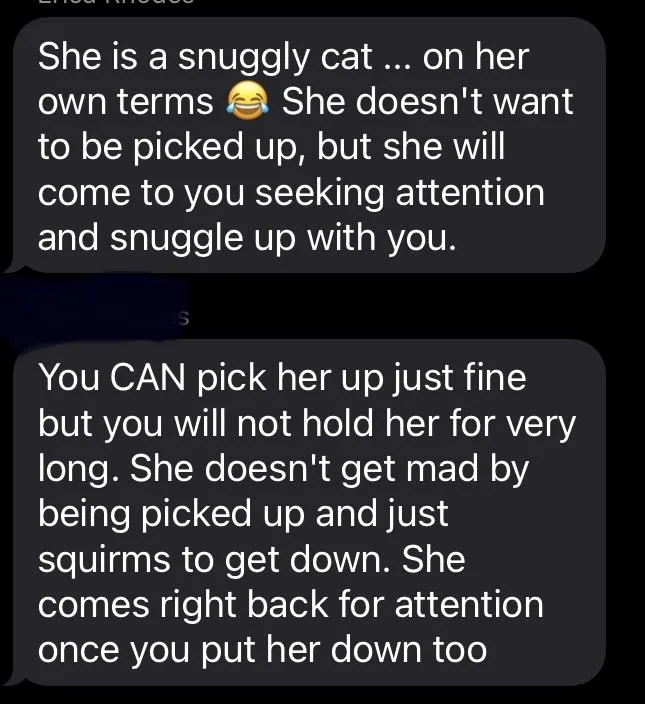 Sweet Pea thumbnail 2