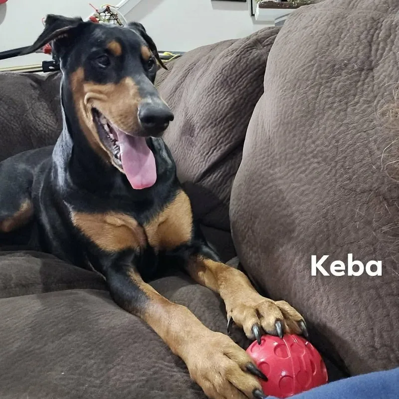 Keba