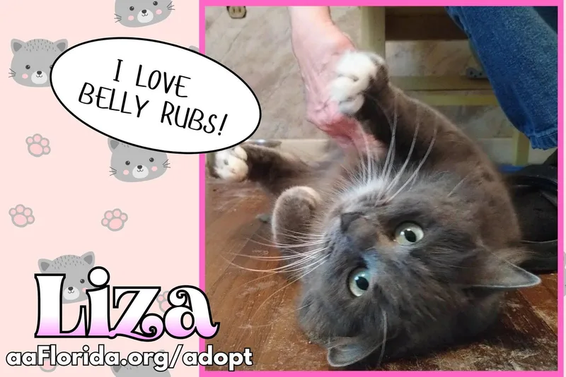 Liza thumbnail 2