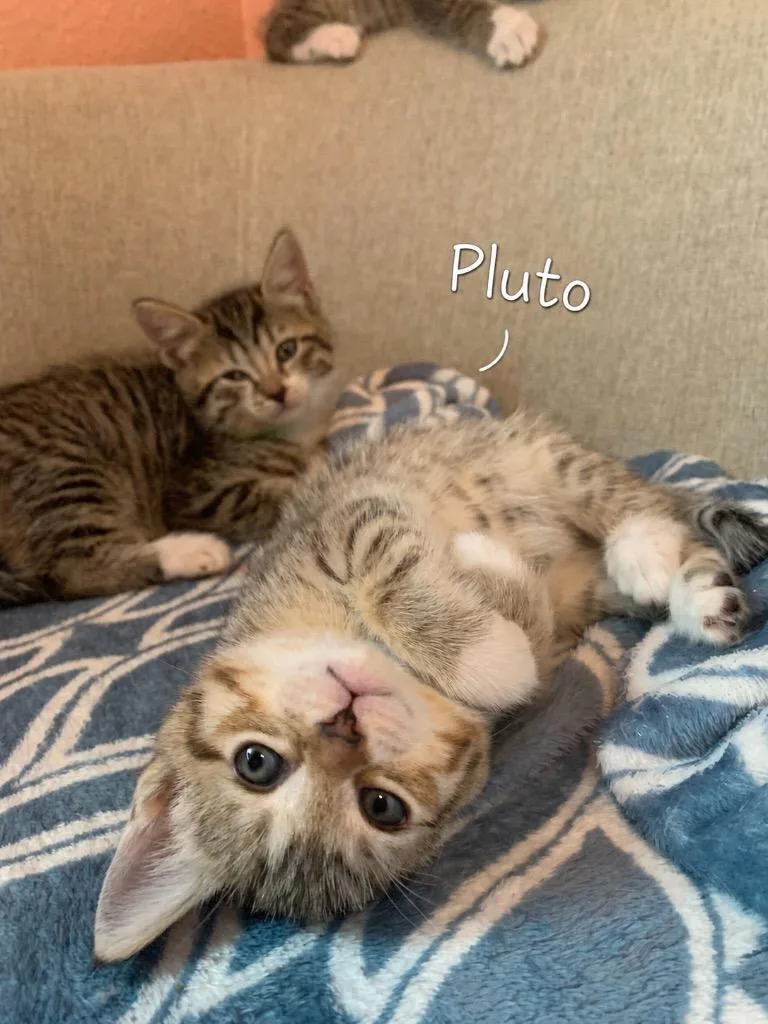Pluto