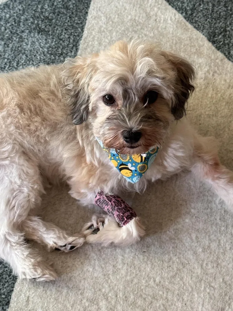 Fiona In Plymouth  thumbnail 2