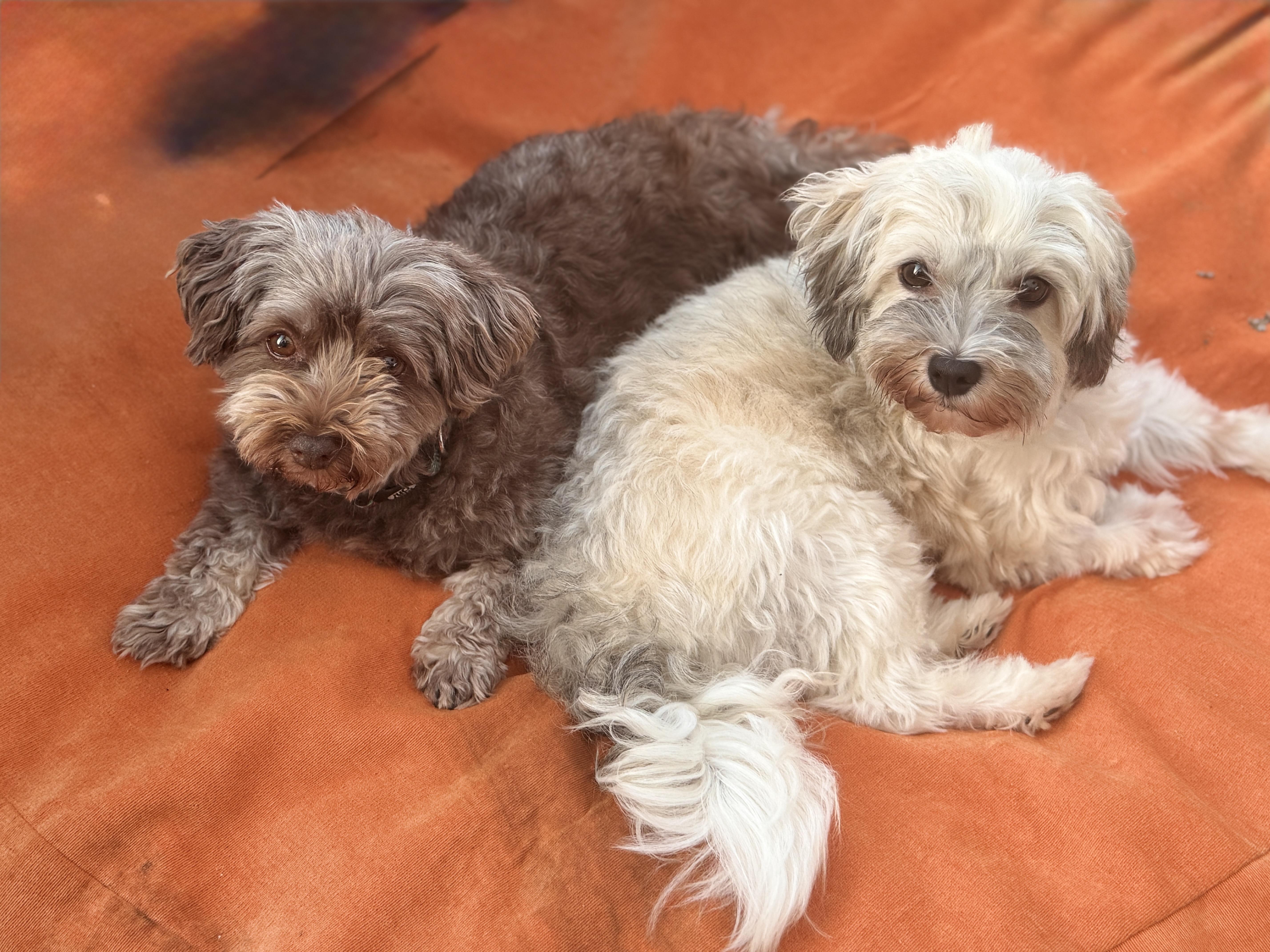 Fiona In Plymouth  thumbnail 3