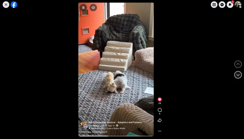 Fiona In Plymouth  thumbnail 4