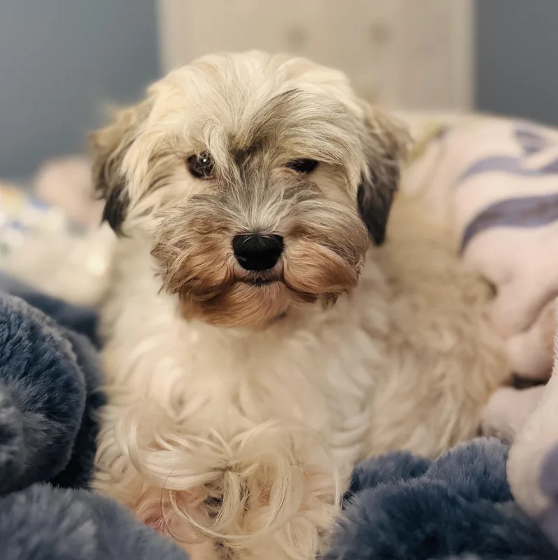 Fiona In Plymouth  thumbnail 5