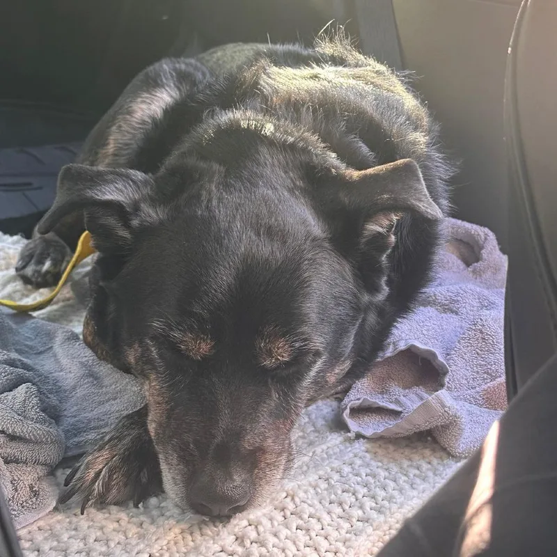 Mercedes thumbnail 3