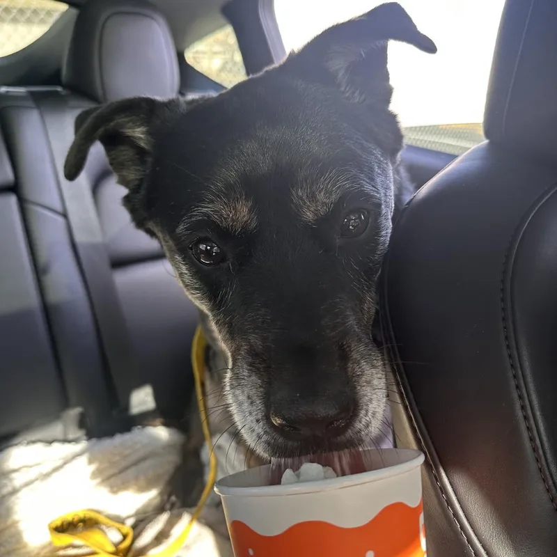 Mercedes thumbnail 4