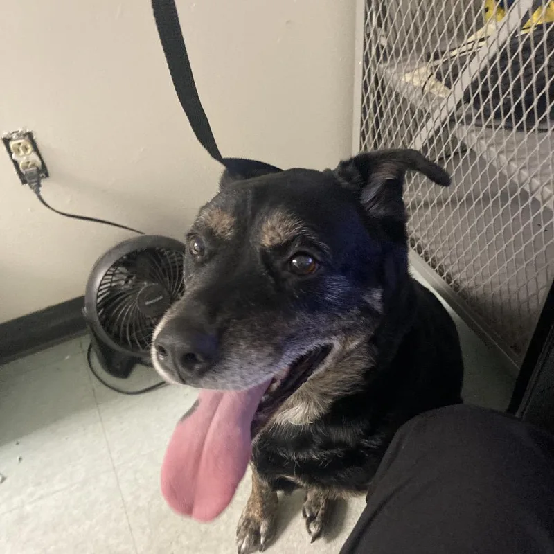 Mercedes thumbnail 5