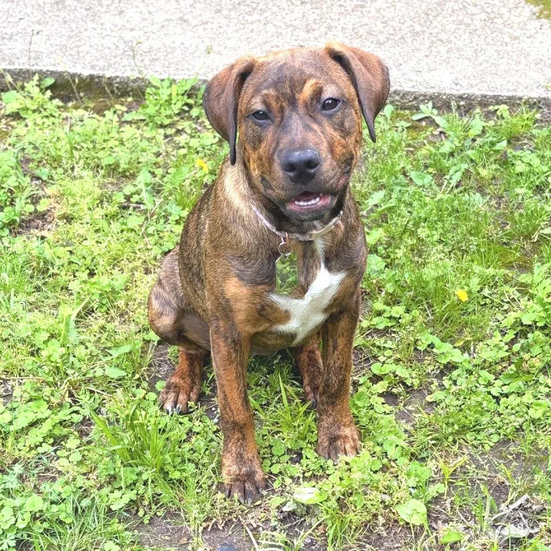 Penelope thumbnail 2