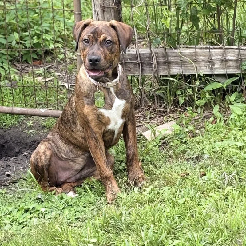 Penelope thumbnail 3