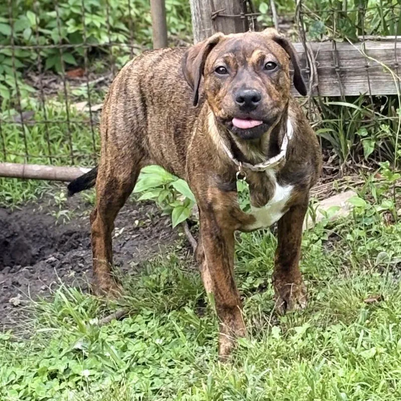 Penelope thumbnail 5