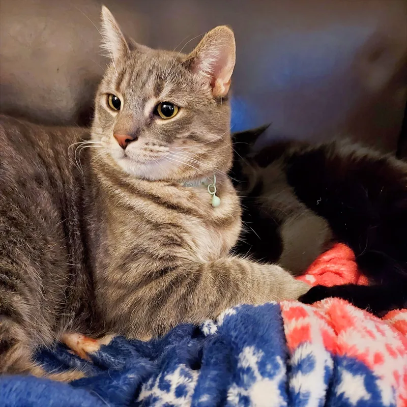 Timmy And Carl thumbnail 2