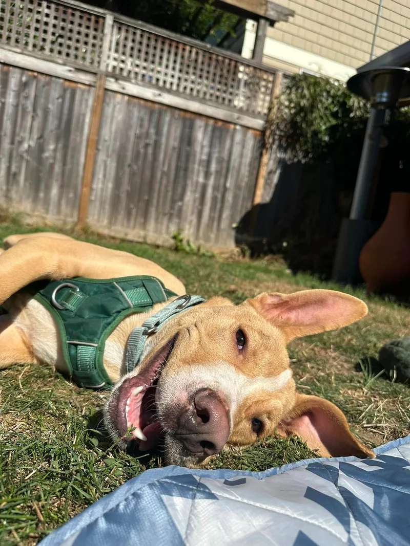 Wyatt  In The thumbnail 2