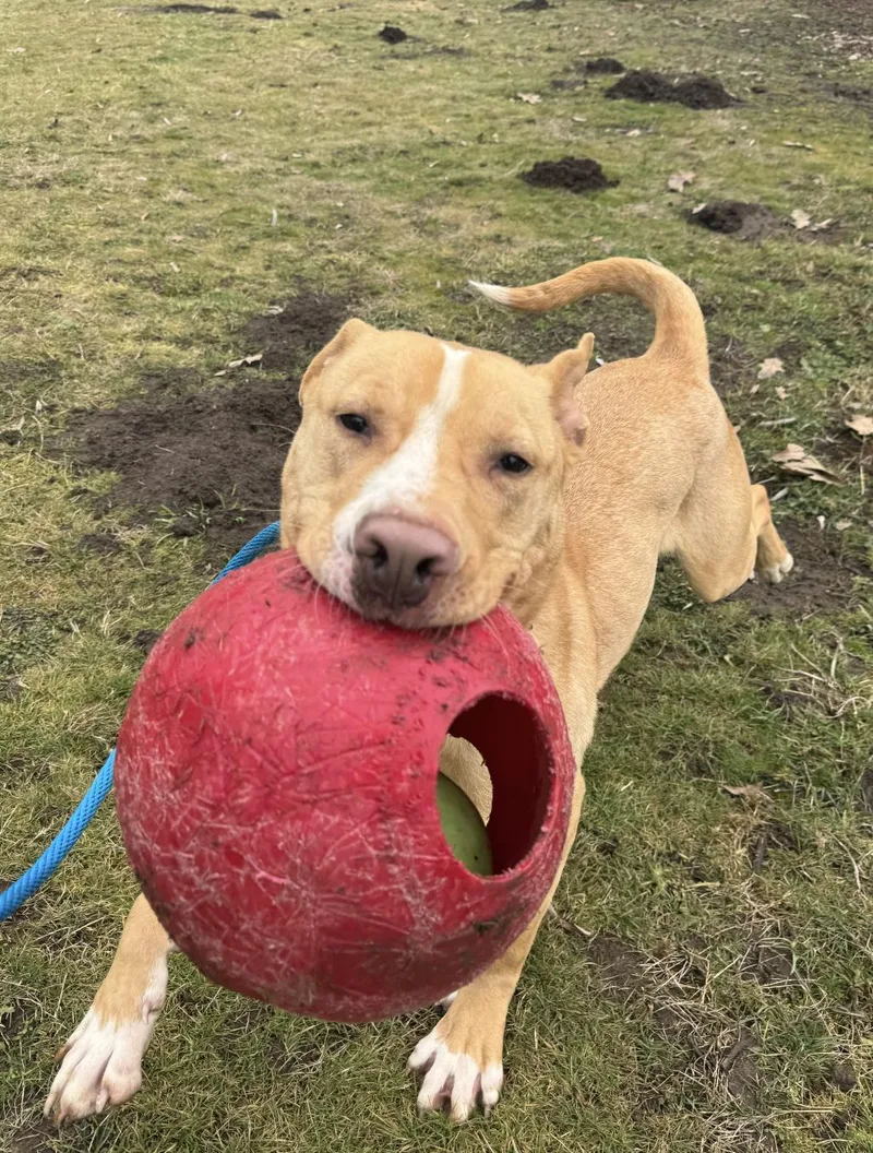 Wyatt  In The thumbnail 5