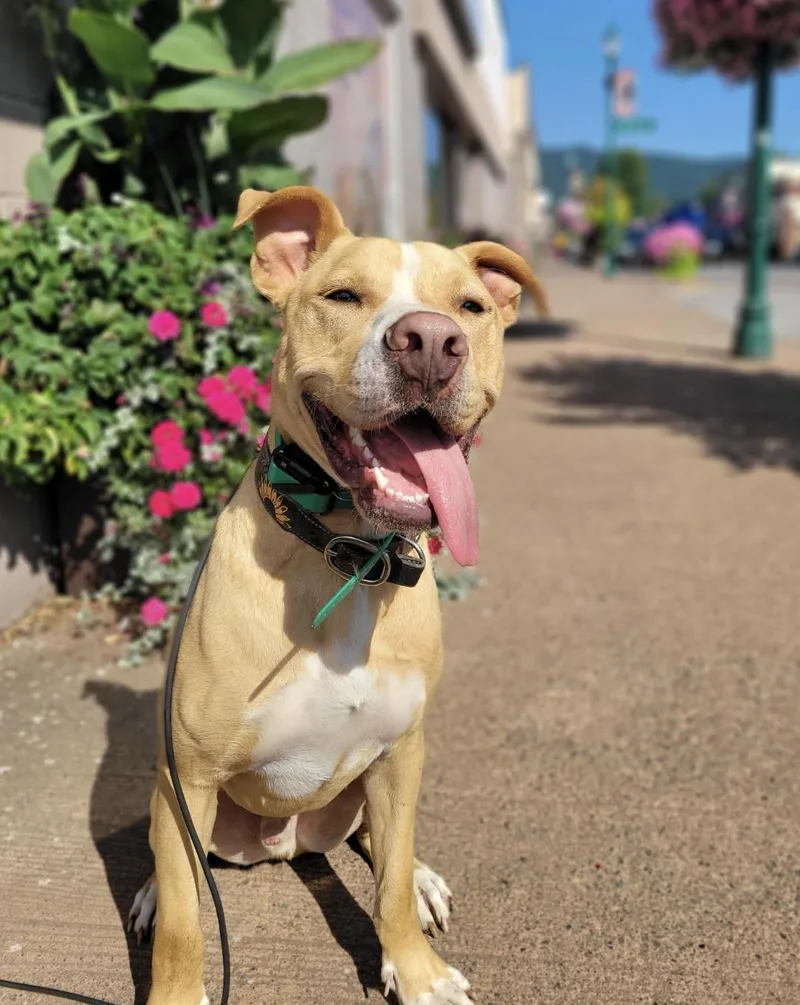 Wyatt  In The thumbnail 6