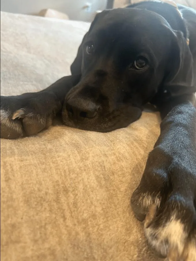 Maggie thumbnail 3