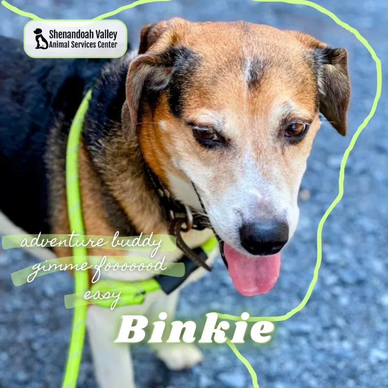Binkie thumbnail 3