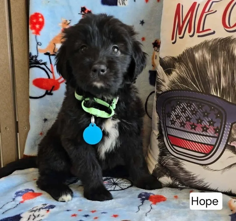 Hope