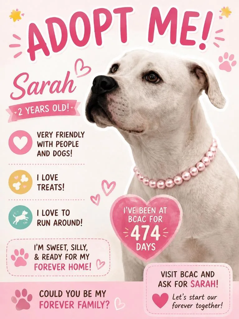 Sarah thumbnail 4