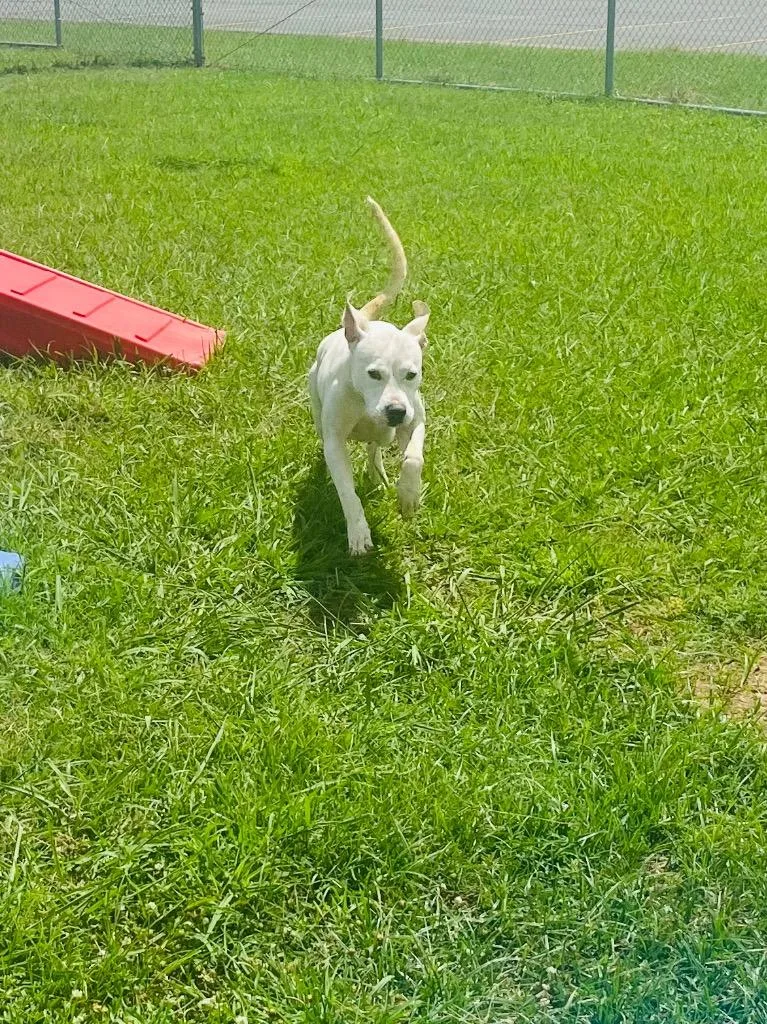 Sarah thumbnail 6