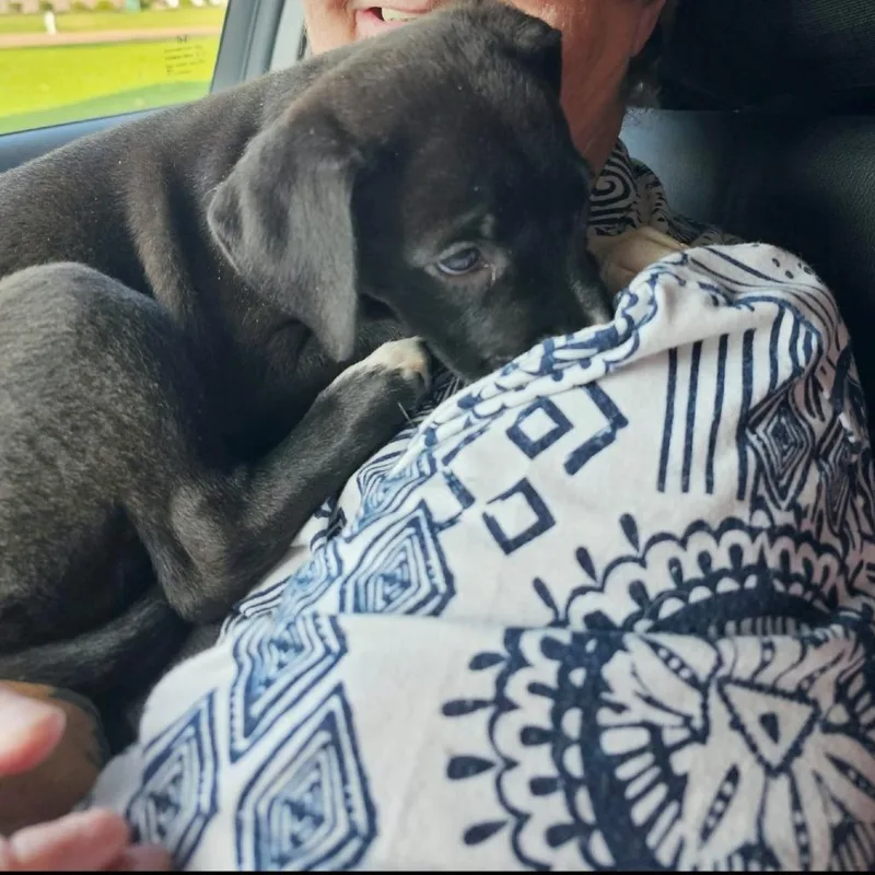 Chaos Aka Betty Lu thumbnail 4