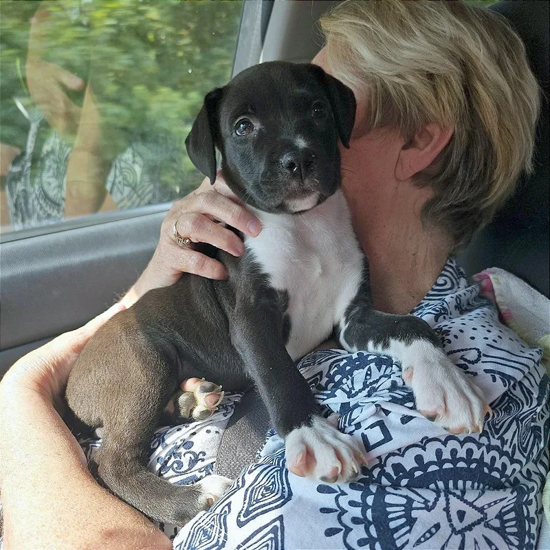 Chaos Aka Betty Lu thumbnail 6