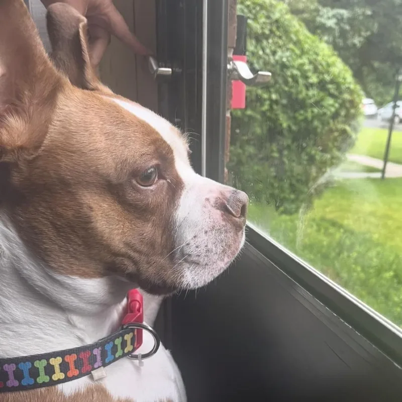 Nina  Home to thumbnail 5
