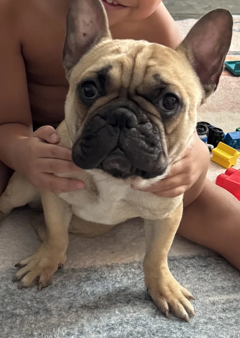 Kona Aka Bingo thumbnail 5