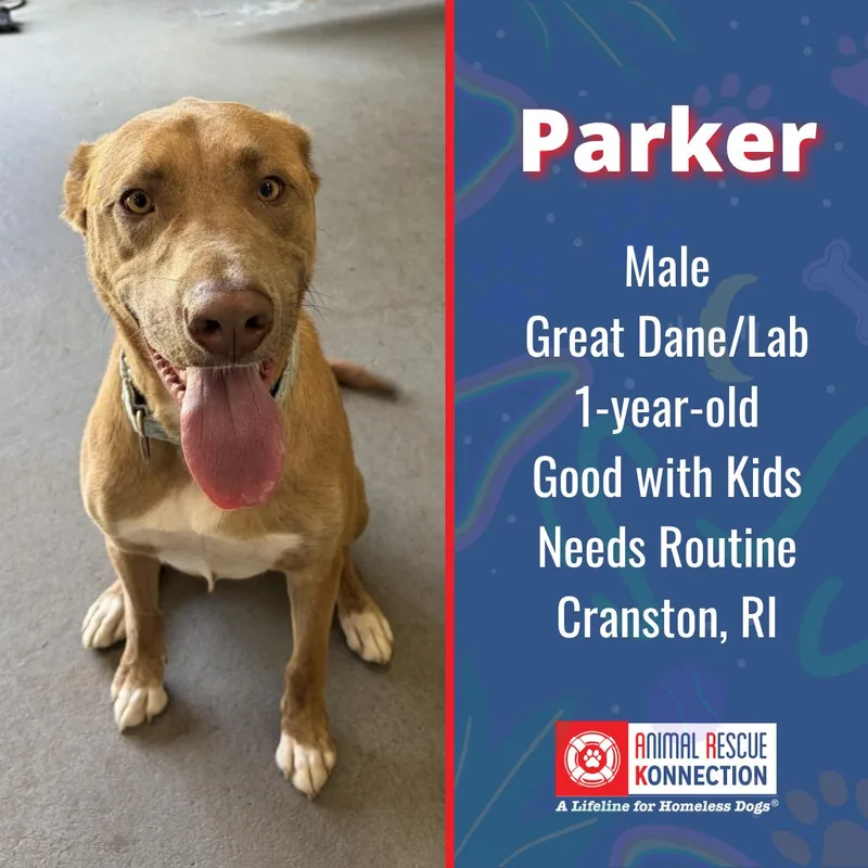 Parker thumbnail 2