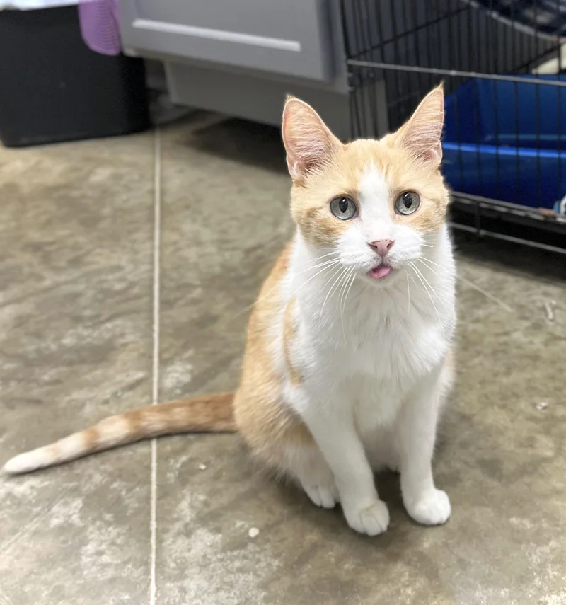 Sunny Girl thumbnail 3