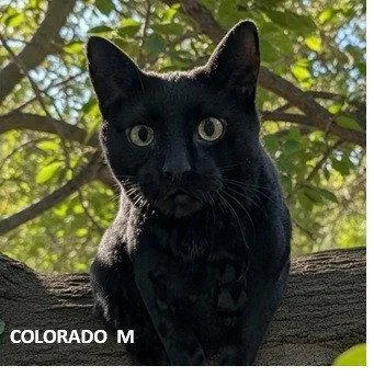 Colorado thumbnail 2