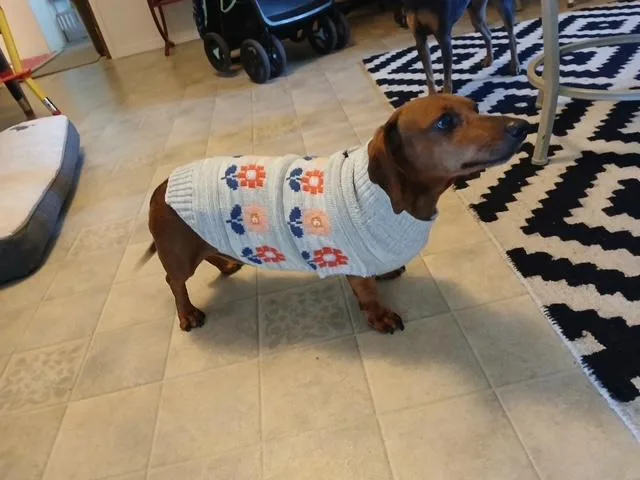 Weenie thumbnail 2