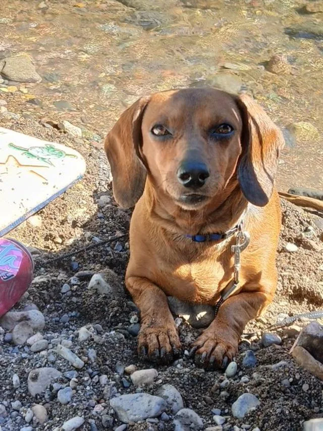 Weenie thumbnail 3