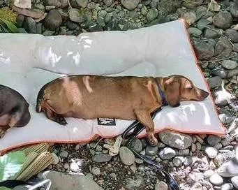 Weenie thumbnail 4