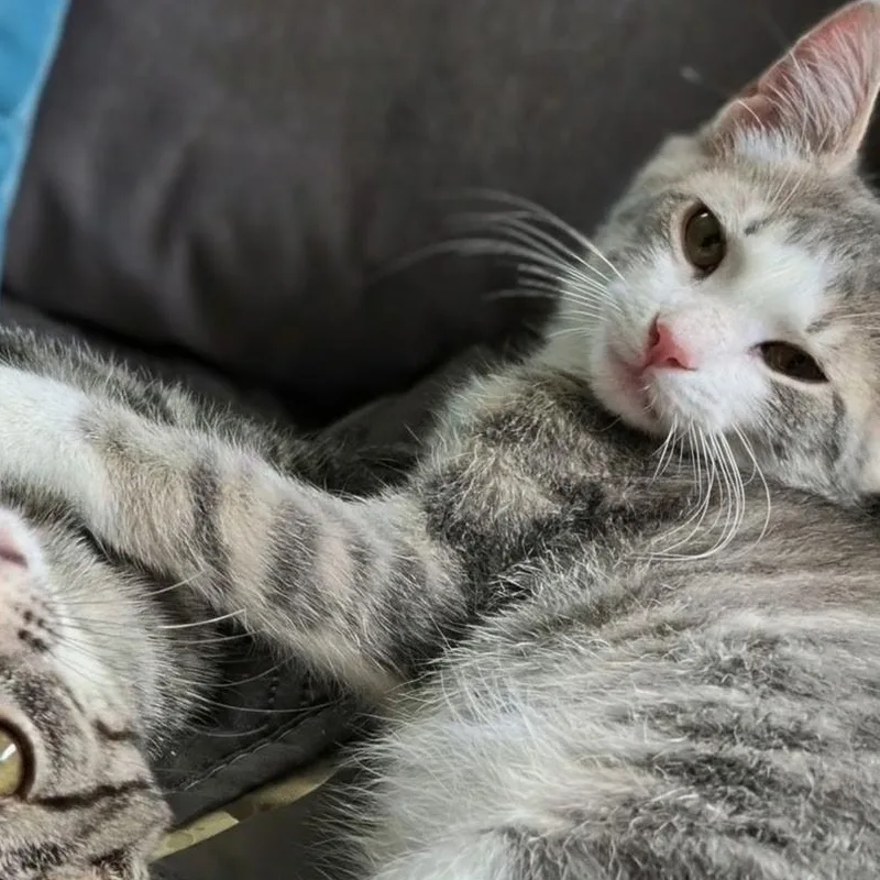 Kyle Bonded with Kyla thumbnail 2