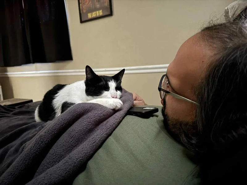 Or Group Harley [litter thumbnail 2