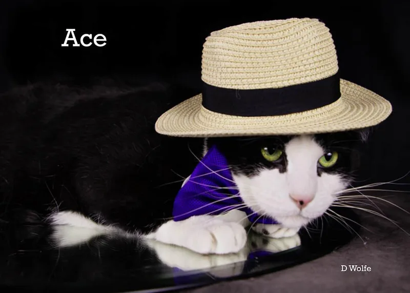 Ace thumbnail 3
