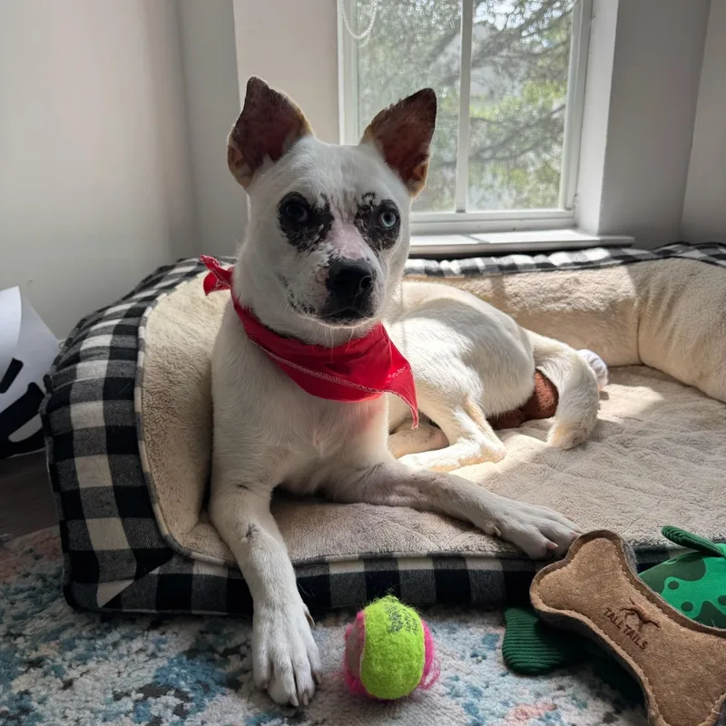 Morgan Wallen thumbnail 2