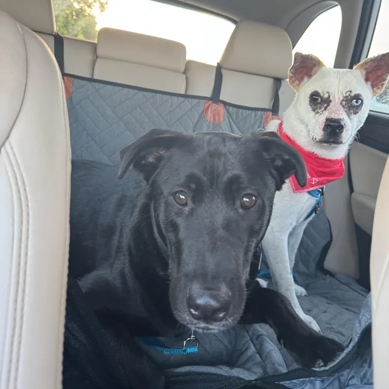 Morgan Wallen thumbnail 3