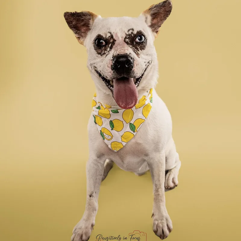 Morgan Wallen thumbnail 4