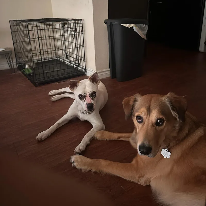 Morgan Wallen thumbnail 5