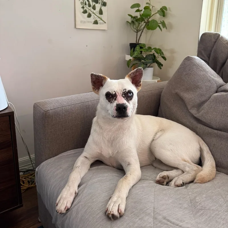 Morgan Wallen thumbnail 6