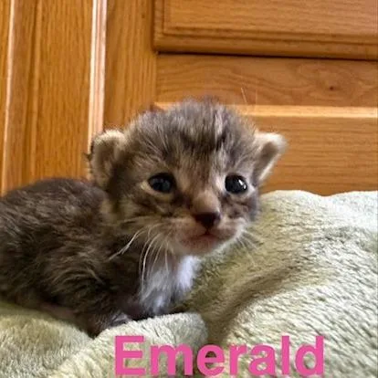 Emerald thumbnail 3