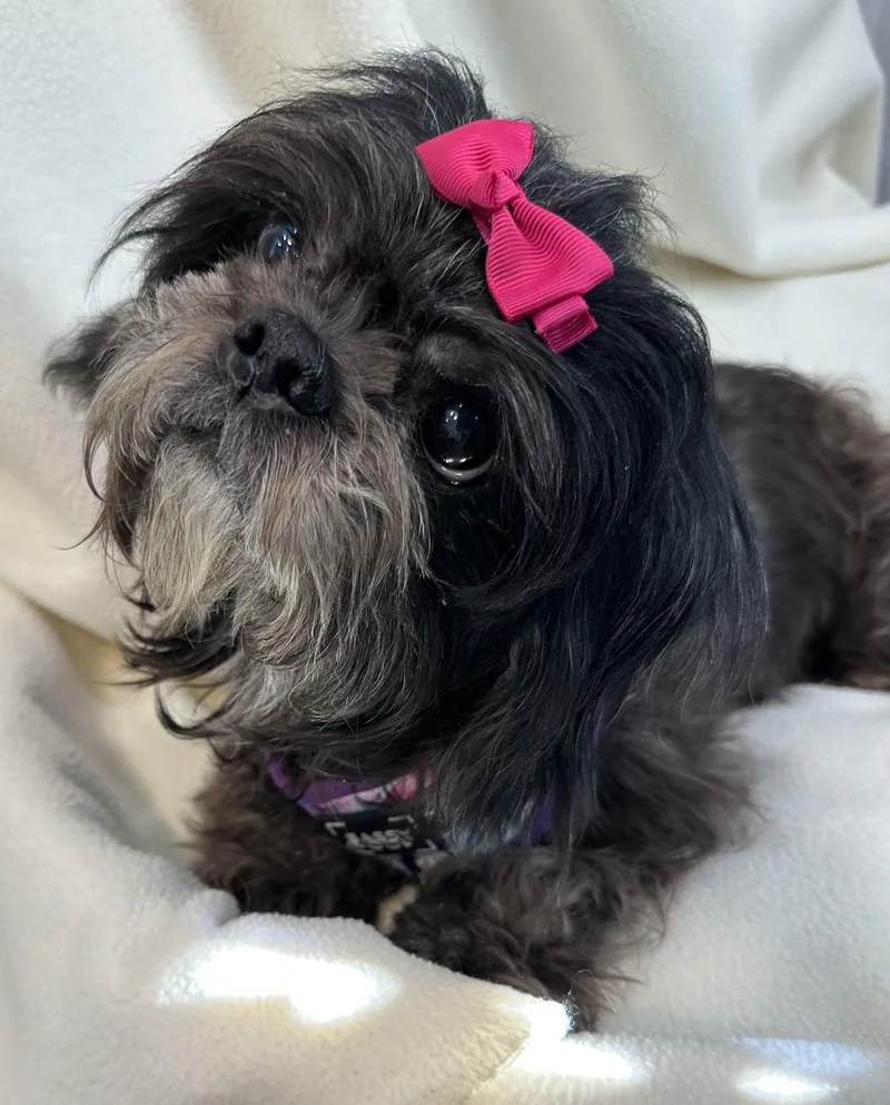 Ouisa Boudreaux thumbnail 2