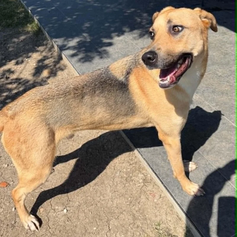 DUKE our longest resident