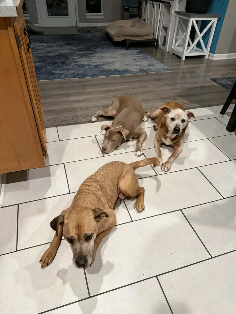 Thelma & Louise thumbnail 3