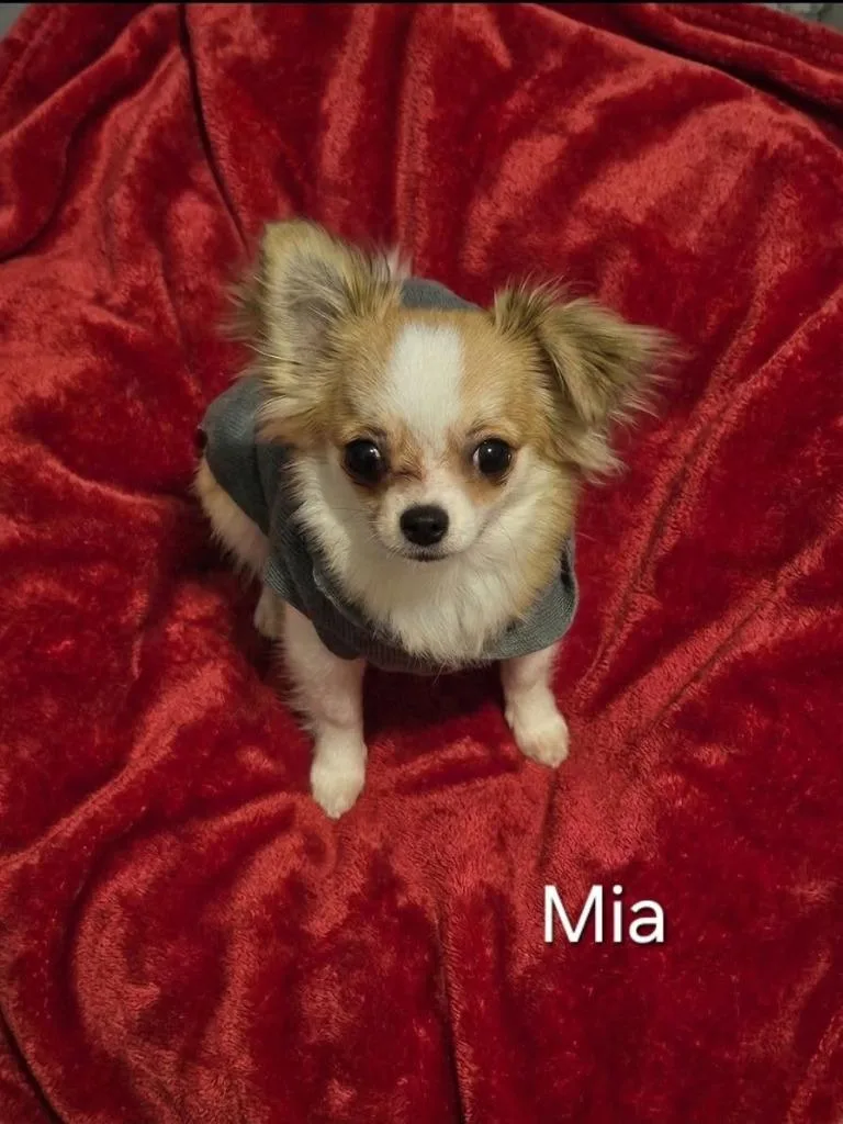 Mia $ thumbnail 3